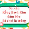 rongbachkimsoicau
