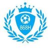868vip1top