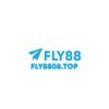 fly8808top