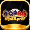 top88prof