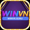 winvnguru