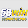 58wintoppro