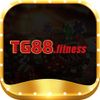 tg88fitness