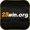 23winorg
