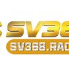sv368racing