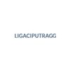 ligaciputragg