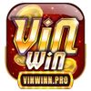 vinwinnpro