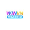 winvndirect