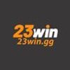 23winggg