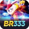 br333co