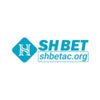 shbetacorg