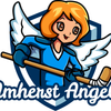 angelsforkidsamherstcom