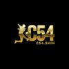 c54skin1