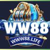 www88life