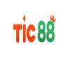 tic88monster