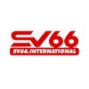 sv66international