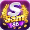 sam86innet1