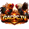 gacpctv