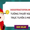 xstructuyen