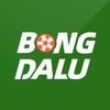 bongdalu8pro