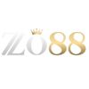 zo88arttop