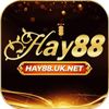 hay88uknet